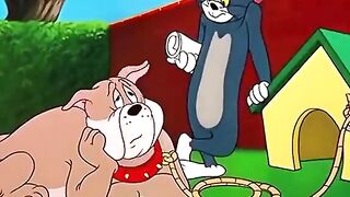 Funny Cartoons videos for kids