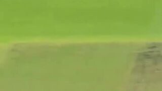 Brilliant fielding