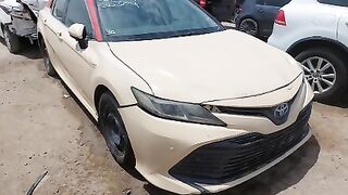 JTNB29HK0K3023658    2019 TOYOTA CAMRY  Lot#63155074  WATER/FLOOD