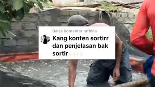 PENJELASAN LENGKAP SEMUA UKURAN IKAN LELE DAN UKURAN BAK SORTIRNYA - Part I