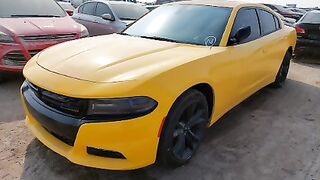 2C3CDXHG5HH609608    2017 DODGE CHARGER   Lot#63574174   WATER/FLOOD