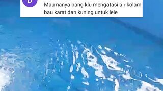 Cara mengatasi KARAT pada SUMBER AIR yang berbahaya bagi ikan lele