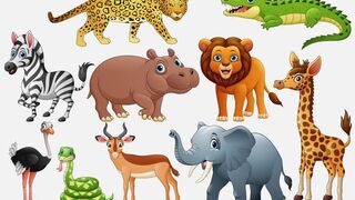 Cute Little Animals - Dog, Cat, Chicken, Elephant, Cow, Turtle - Animal Sound