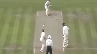 The Art of Stumps