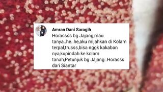 Ini alasan kenapa penetasan TELUR LELE tidak bisa dikolam TANAH