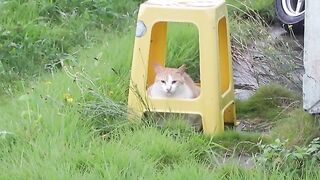 Taedan's shelter from the rain