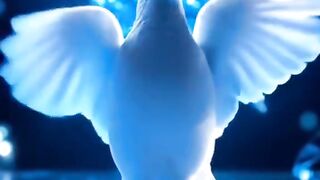 Jesus manifests as a dove, moving everyone with His serene and graceful