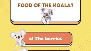 Quiz365_2 Koalas