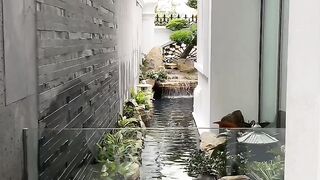 Beautiful fish pond