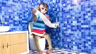 Monkey Baby Bon Bon oes to the toilet and plays with Ducklings in the swimming pool