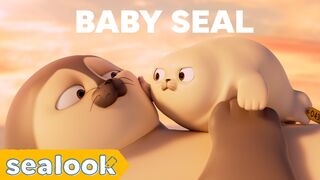 CUTENESS EXPLOSION Baby Seal Special SEALOOK Episodes Compilation