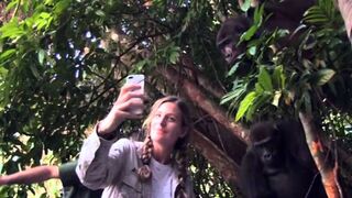 Tansy Aspinall And The Gorillas Reunited At Last! - OFFICIAL VIDEO