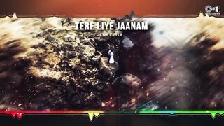 Tere Liye Jaanam - Lofi Mix _ Suhaag _ S.P. Balasubrahmanyam_ K.S. Chithra _ 90s Hindi Hit Songs