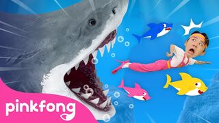 Run Away from the Sharks! Animal Song Hoi's Playground Pinkfong Baby Shark Kids Song