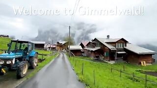 Beautiful rain walking tour in Gimmelwald ???????? A Swiss village#BeautifulRain #WalkingTour #Gimmelwal