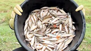 HOW TO COOK PORRIDGE FISH RECIPE