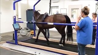 UC Davis Tour Treadmill