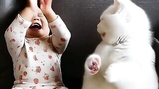 Cute Baby Playing with White Cat