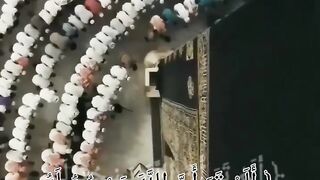 القارئ ياسر الدوسري