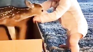 Baby Friendship with Mouse Deer