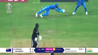 Sensational Cricket