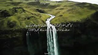 Quranic Verses to Comfort the Heart in Difficult Times | With Urdu Translation