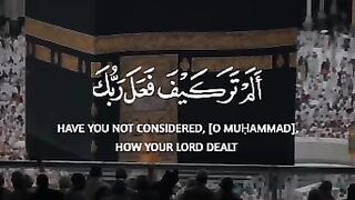 آيات (من) (سورة) (الفيل)