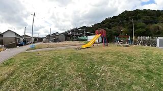 I teach cute kittens to play on the slide