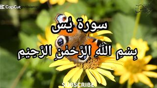 Surah Yaseen⧸Beautiful recitation⧸awesome voice⧸Rashid Mishary Alafasy