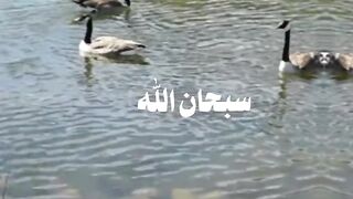 لا إله إلا الله