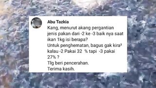 Jangan sembarangan GANTI jenis/merek pakan PELET