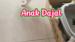 Kucing tidak punya ahlak ????????