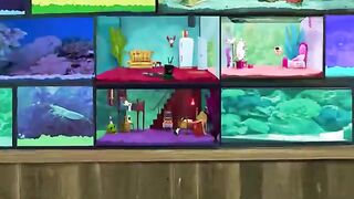 Fish Hooks S1 Ep 01 [Hindi Dub]