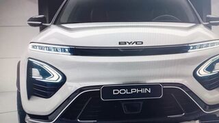 Dolphin byd2025