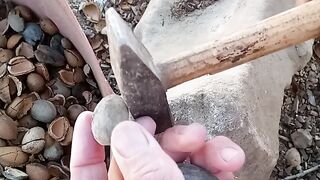 Almond extraction method