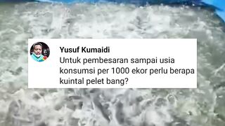 Berapa KEUNTUNGAN ternak lele 1000 ekor❓