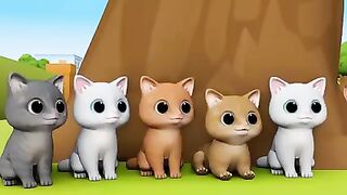 Billi Ke Bache|Cat Cartoon|Cat Meowing|Cat|Kittens|Cat Vedios|Billi|Meow Meow|CatS