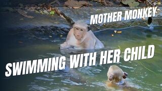 MOTHER MONKEY SWIM