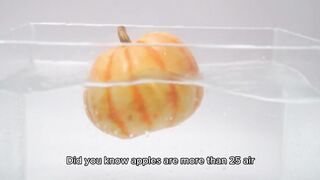 Apples are more than 25% air