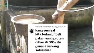 Jika terlanjur beli pakan PROTEIN rendah bagaimana solusinya❓