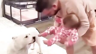 dog_#puppy_#love_#funnyanimals_#baby_#shortsvideo_#shorts(360p).