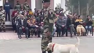 shorts_#dog_#viral_#bsf_#army_#trending(360p).