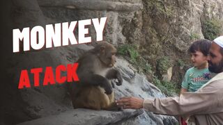 MONKEY ATACK