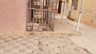 A family of homeless cats lives in an abandoned house Feeding the homeless cats