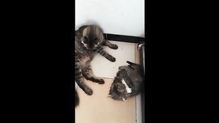 Minouche teaches her children self-defense