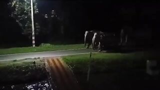 Wild Elephants Arriving in the Night