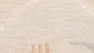 Cricket Match highlights