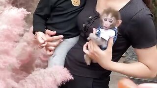 BABY MONKEY CUTE