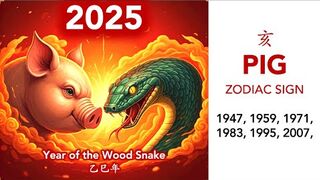 2025 Zodiac Predictions Pig