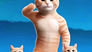 Funny Cat Dancing Video _dancingcat _shorts _catlovers _cutecat _catvideos